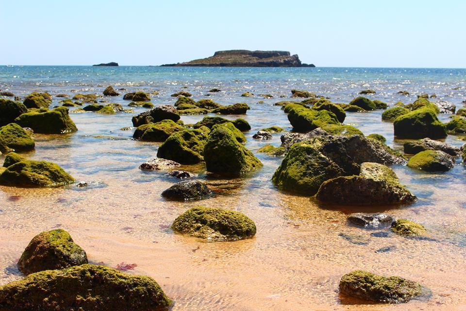 Sagres Sunny Room With Private Bathroom 300M From The Beach Buitenkant foto